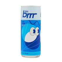 초정탄산 플레인 500ml x 20pet 1박스, 부르르 제로사이다 250ml 30캔 2