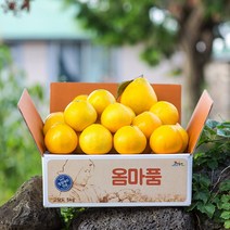 [옴마품]제주 황금향 2.5kg 3kg 5kg 가정용 명절선물세트, 1box, 제주 황금향 2.5kg(10-14)-가정용
