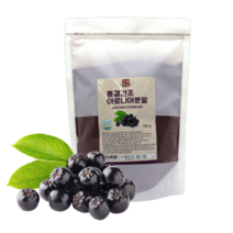 동결건조 아로니아 분말 국내산 500g HACCP 인증제품, 4+1개