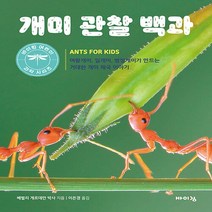 NSB9788964945971 새책-스테이책터 [개미 관찰 백과] -여왕개미 일개미 병정개미가 만드는 거대한 개미 제국 이야기-바이킹 어린이 과학 시, 개미 관찰 백과