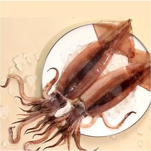 국내산동해 냉동오징어 선동 오징어 동해안오징어 2미 5미, 오징어 (특대) 10미(국내산)