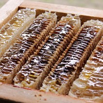 푸드공작소 국내산 토종꿀 벌집꿀 2.0kg 선물세트(고가구상자포장), 2.0kg(고가구상자포장), 1개