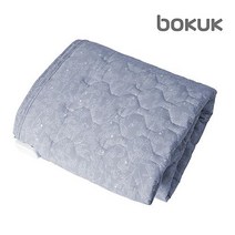 보국전자 에어셀 전기요 바이올렛 가든 BKB-1621D (더블)
