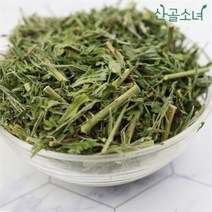 셀러허브 생활리빙 [산골소녀] 국내산 야관문 100g, 선택옵션