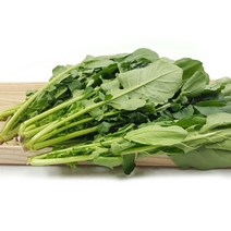 야채왕 루꼴라 1kg (0.9k~1.0k), 1개