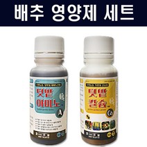 배추영양제 세트-텃밭칼슘 아미노산 비료 배추 고추 전용, 텃밭칼슘100ml/텃밭아미노산100ml