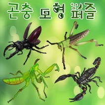 곤충 모형 퍼즐, 전갈