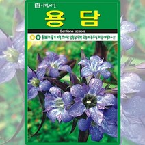 용담 씨앗 용담 씨 꽃 종자 1000립, 단품