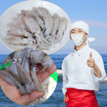 먹사부 태안 꼴뚜기 호래기 냉동 생물 꼴뚜기 회 횟감 자연산 국산, 3kg (급냉), 1개