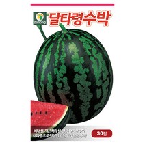 갑조네 열매 채소류 씨앗 모음, 달타령수박(씨앗), 1개
