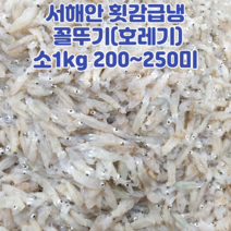산지직송 서해안 급냉 꼴뚜기 호래기 횟감용 500g 1kg, 급냉꼴뚜기_소사이즈_1kg