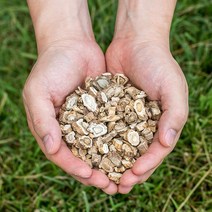 국산 독활(땅두릅뿌리) 200g 땅두릅 한방재료 한약재, 16H0_국산 독활(땅두릅뿌리) 200g, 16H0_국산 독활(땅두릅뿌리) 200g