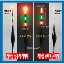 돌찌나라 전자사짜찌 / 극저수심 수초