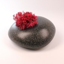 정원향기 관리쉬운 공기정화 스칸디아모스 천연이끼 식물 전국초미세먼지 제거 화병, 그레이