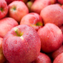 FUNET 가정용 부사 홍로 사과 3kg 5kg 8kg, 1박스, 52_홍로사과 3kg