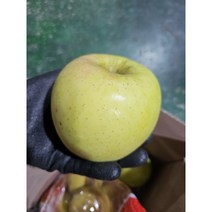 경북 햇사과 시나노골드 황금사과 사이즈 혼합, 1kg, 1개