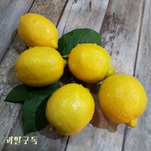 썬키스트 팬시 레몬청 즙 레몬에이드 새콤달콤한 레몬차 20-50과 레몬2-17kg, 팬시 레몬 중과 20과(2kg)