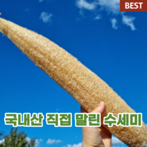 국내산 국산 직접 말린 수세미 30cm 50cm 천연 건 건조 유기농 주방 통 수세미 제로웨이스트 설거지 생분해 식물