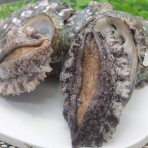 전복맛들 더 싱싱한 참전복 ~40미1kg 손질칼증정 싱싱비법포장, 단품