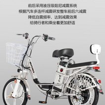 전기 2인승 자전거 전동 킥보드 배달 운동 패달 겸용 리튬 배터리 스쿠터 여성, B200KM