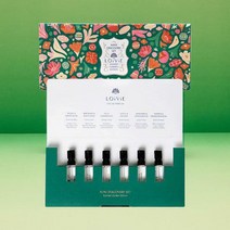 로이비 센티드가든 디스커버리2ml 6개입 미니캔들 트리오65g 3개입 2종 택1, 캔들 트리오 65g 3개
