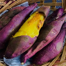 영암 유기농 토울고구마 호박고구마 10kg 5kg 3kg, 014. 토울고구마 10kg 긴상사이즈