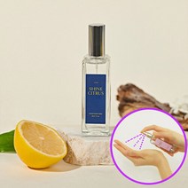송월타올 엣이즈 아로마 손소독제 30ml 샤인시트러스(블루), 단품없음