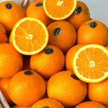 [당도선별] 블랙라벨 오렌지 과일 가정용 선물용 업소용 대용량﻿, 10.오렌지M (1박스 88과내외)