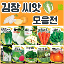 김장 채소 씨앗 모음 / 배추 무 당근 알타리 갓 엇갈이 양파 종자 씨, 22. 세계시래기무 30g