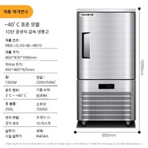 참치 급냉고 급속냉동기 소형 스탠드 업소용, -40도 표준형(10 트레이)