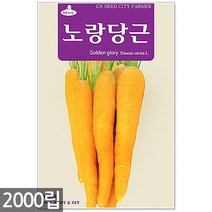 서리태 씨앗 30g - 콩 씨 청약콩 검은콩 쥐눈이콩 서리태씨앗 콩 검정콩씨앗 검은콩씨앗 콩씨앗 서리태씨 검은콩씨 주말농장 텃밭, 02_노랑당근(2000립)