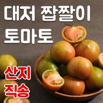 부산 초록농장 대저토마토 대저 짭짤이 토마토 짭짜리토마토 짭짤이 2.5kg, 대저토마토 중사이즈