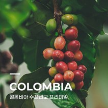 [생두] 콜롬비아 수프리모 프리미엄 10kg