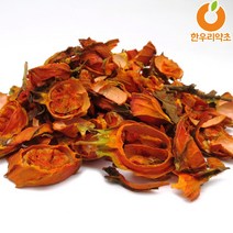 치자나무 열매 600g 먹는법 국내산, 치자600g
