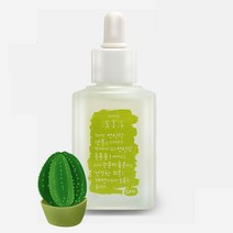 청미정 선인장 수분 앰플50ml+샘플 승무원 정품 엠플 속피부 미백개선 고농축 에센스 Cactus Whitening Ampoule., 청미정에센스+샘플, 1BOX