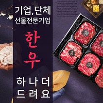 기업 단체 명품한우 선물세트, 기본형, 한우산적+한우장조림+한우양지