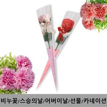 어버이날선물/스승의날선물/장미꽃 카네이션, 카네이션비누꽃(OPP-레드)