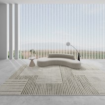 먼지없는 거실 러그 사계절용 침실 카페트, style 4