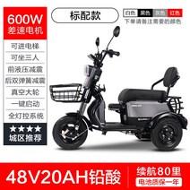 소형 3륜 노약자 전동차 바이크 전기 스쿠터 카트 삼륜 노인 어르신, 02. 600W 모터 / 48V 20AH 납산 _확인, 600W 48V 20AH (색상고객센터문의)
