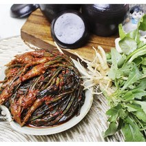 국내산 재료 곽진영 종말이 전라도 여수 돌산 고들빼기김치 1kg