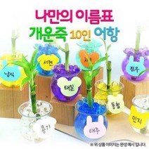 나만의 이름표 개운죽 키우기 10인 - 어항