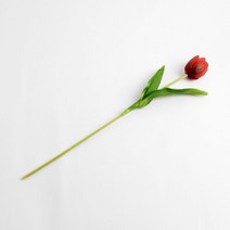 레드 조화꽃 성묘조화 산소꽃 실내조경 튤립 인테리어 꽃장식