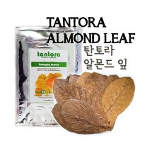 탄토라 알몬드잎 [18~30cm] [대] 벌크포장, 단품