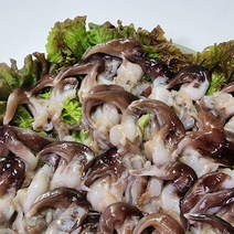 횟감가능 최상급 새조개 손질실량500g (원물3kg) 30-40미내외 새조개순살, 새조개살 500g