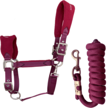 말굴레 말 고삐 리드 로프 세트 레이싱 훈련장비 벨트, 고삐  2m 끈 와인 레드 미디엄, 1개