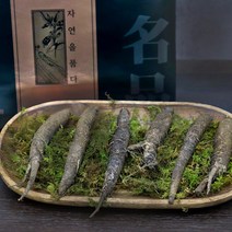 경성건강원 자연산 더덕 겨울 더덕주 요리 구이 장아찌 선물세트 더덕의효능 강원도 산지직송, 3세트, 300g 9~12뿌리