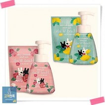 항균 거품 리필200ml 레몬향 손씻기 로즈향 핸드워시 항균버블 펌핑250ml, 가스파드앤리사핸드워시펌핑용기250ml(레몬)