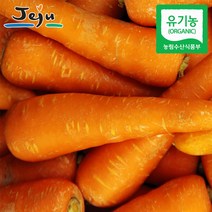 2023년 제주 친환경인증 유기농 햇당근 흙당근, 즙용 3kg