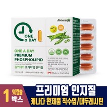원어데이 프리미엄 인지질 100% 식물성 대두 레시틴 포스파티딜콜린 캐나다 완제품 직수입, 1박스, 90캡슐