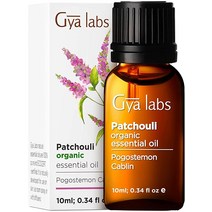 Gya Labs 순수 사이프러스 에센셜 오일 (10ml) - 정맥류 디퓨저 및 아로마테라피용 100% 천연 치료 등급 사이프러스 오일 에센셜 오일, 0.34 Fl Oz (Pack of 1)_Organic